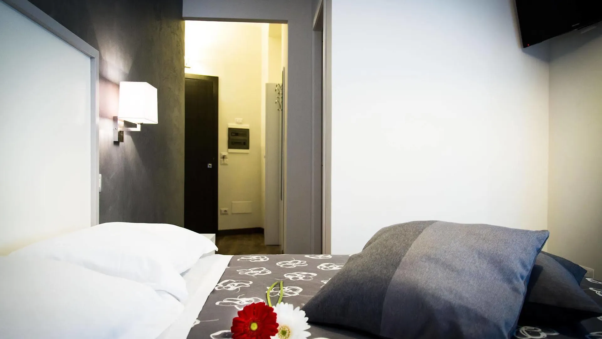 Modern Bnb Rome Italy